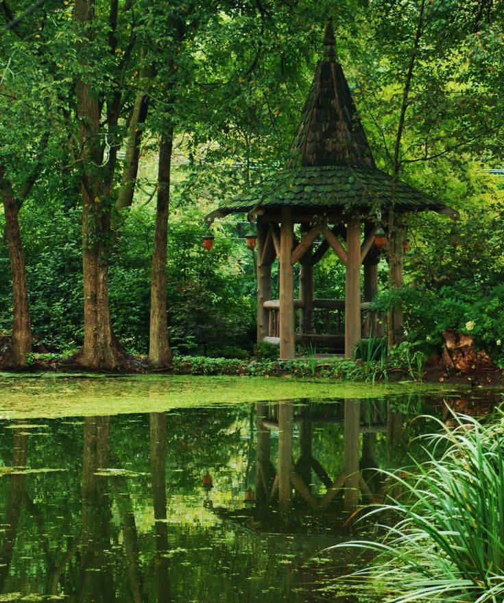 Fabulous Garden Photography