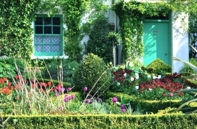 Garden Ideas