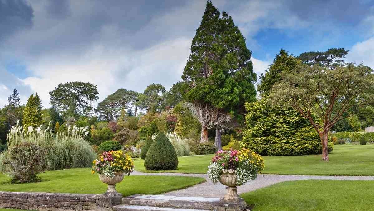 Irish Garden Walls