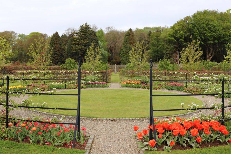 Creative Design Rock Garden