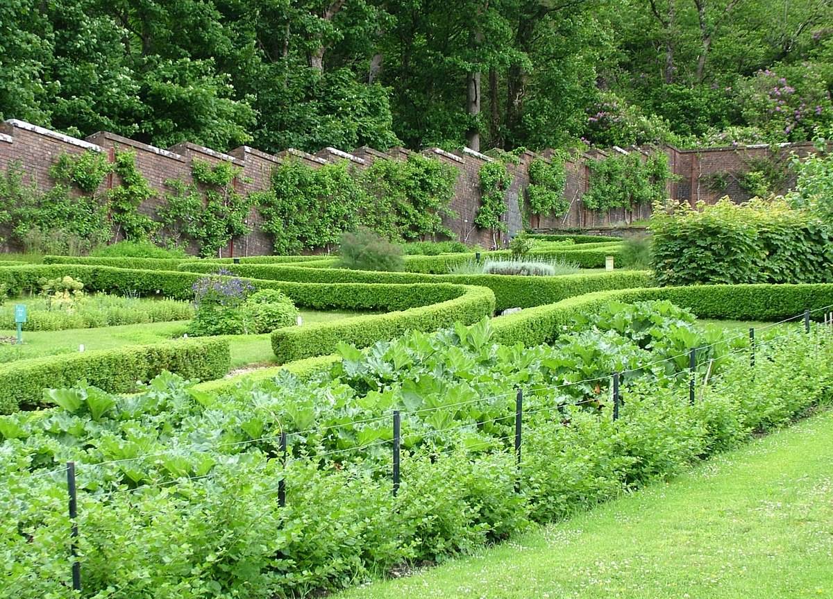 Garinish Ilnacullin Garden