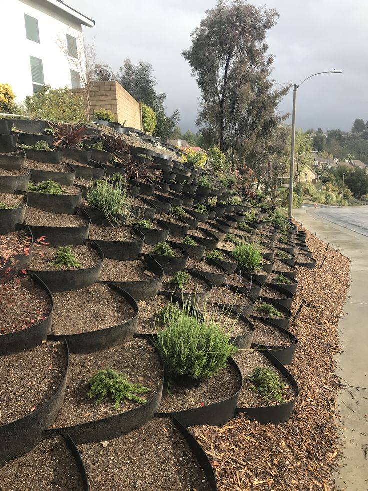 Kelli S Northern Ireland Garden Garden Show Ireland Lovely Wall Decor