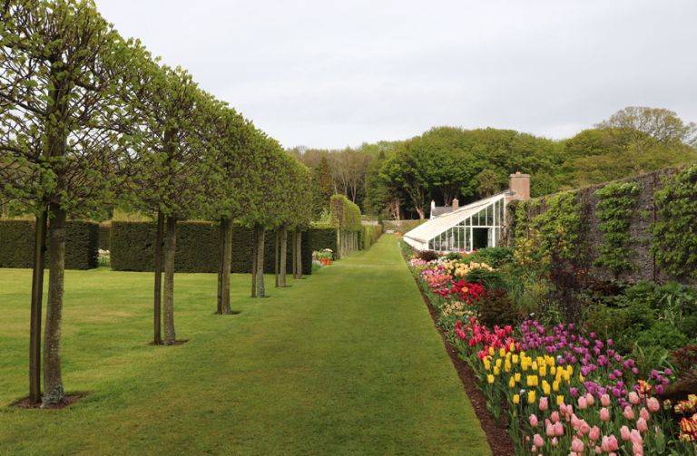 Beautiful Garden Wall