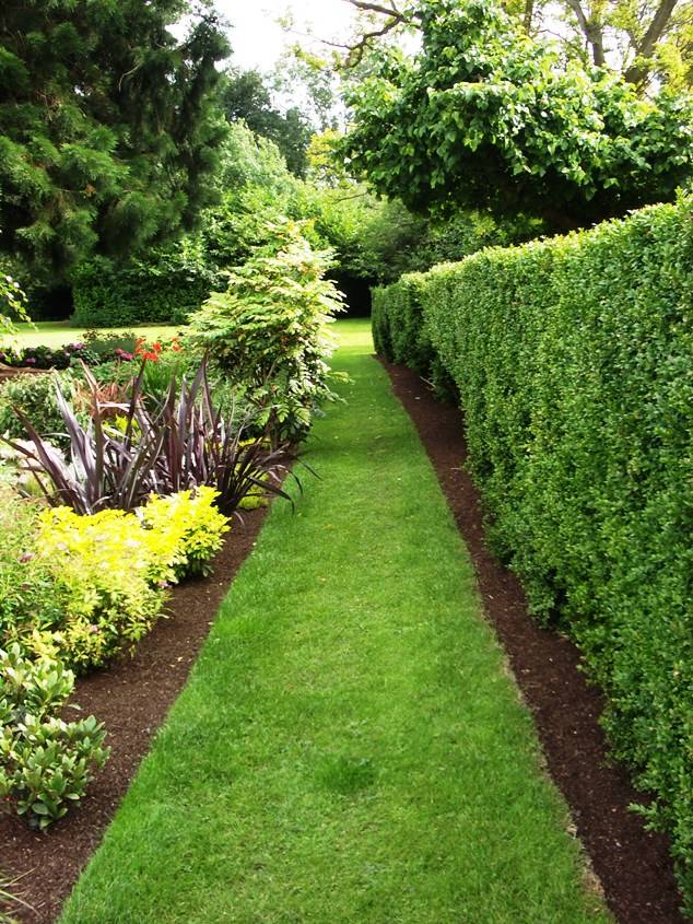 The Top Gardens