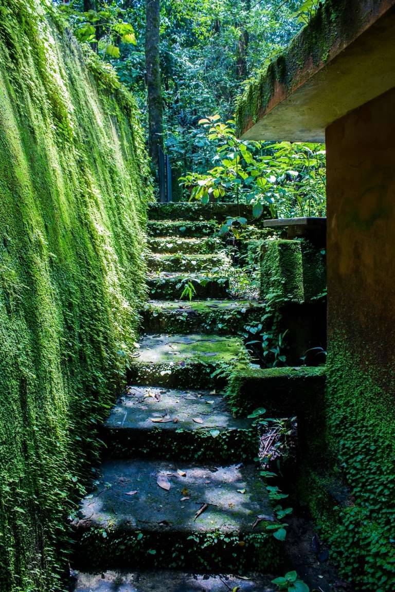 Stepping Stones