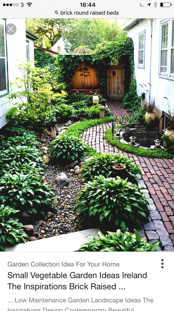 Helen Dillons Irish Garden