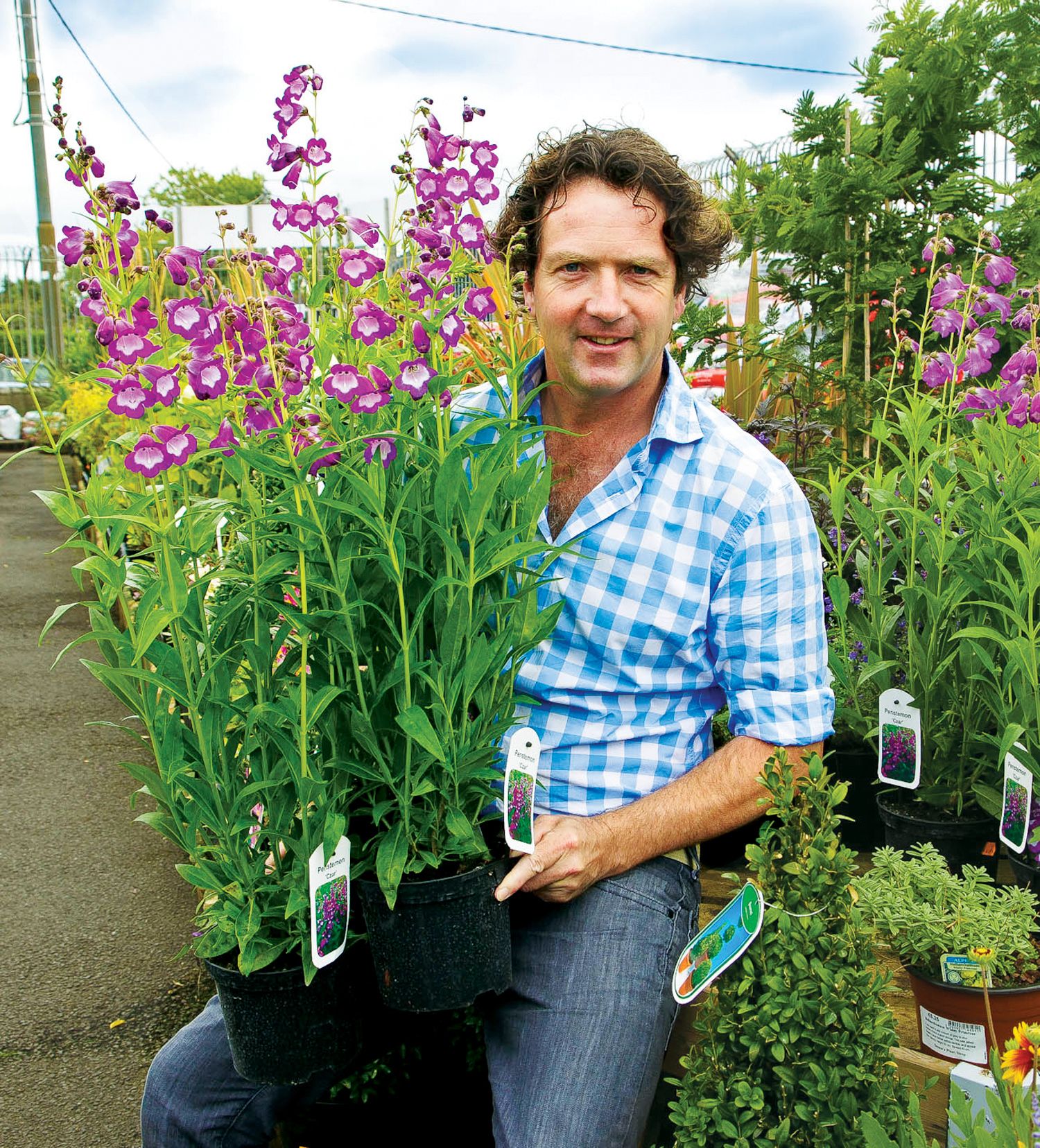 Celeb Gardener Diarmuid Gavins New Mechanical Garden