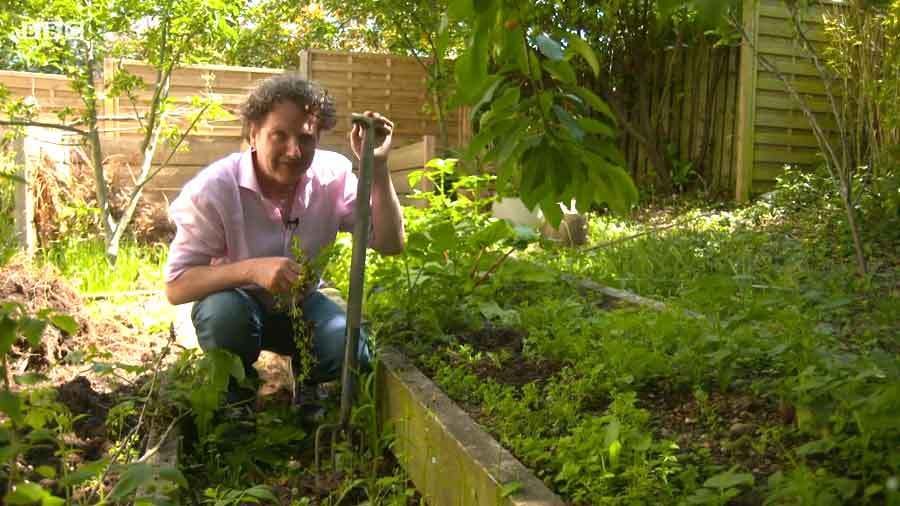 Diarmuid Gavin Show Garden Grand Designs