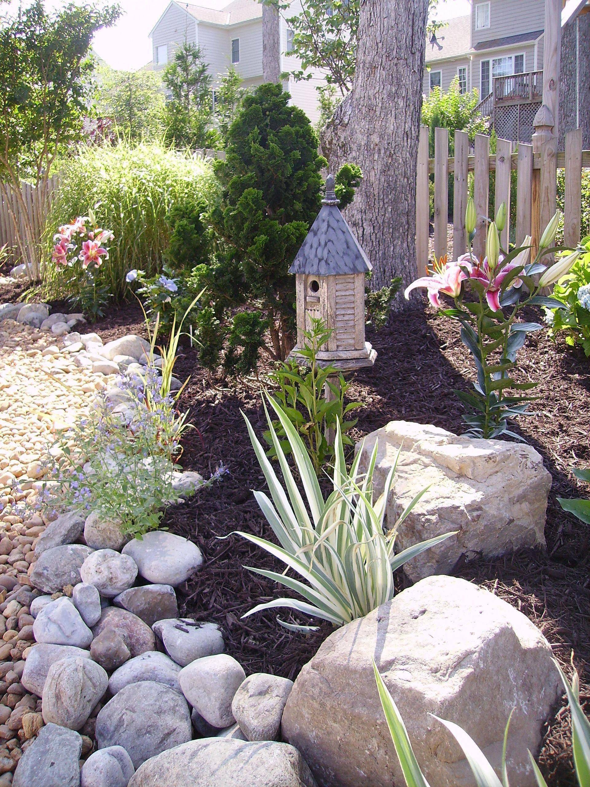 Irish Moss Sloped Garden