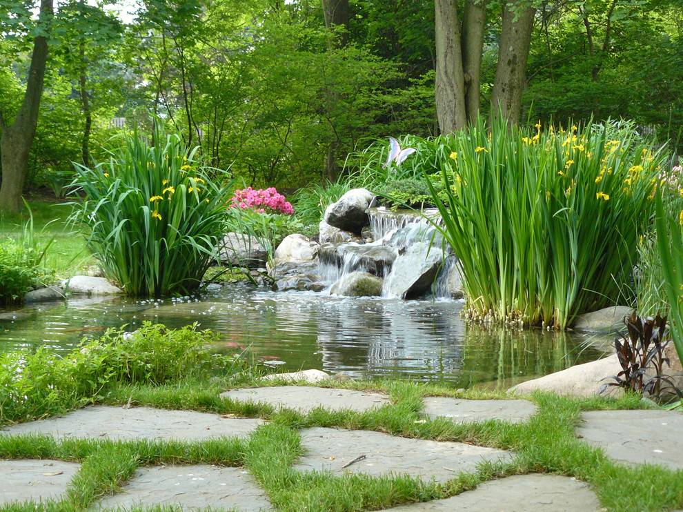 Cottage Garden Waterfalls Backyard