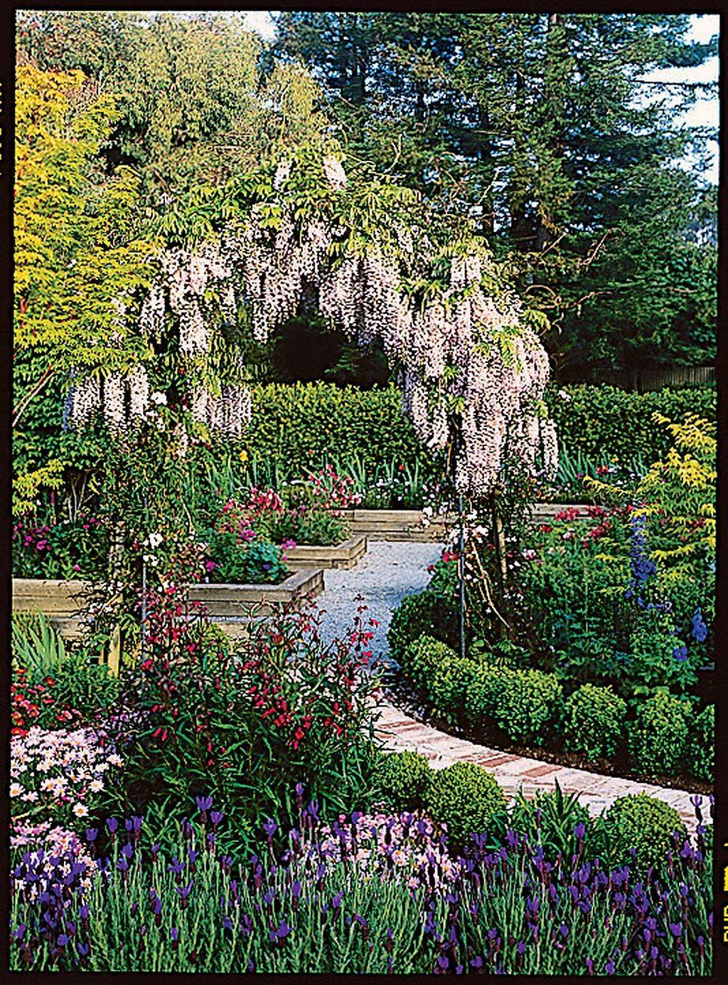 Beautiful Small Cottage Flowers Garden