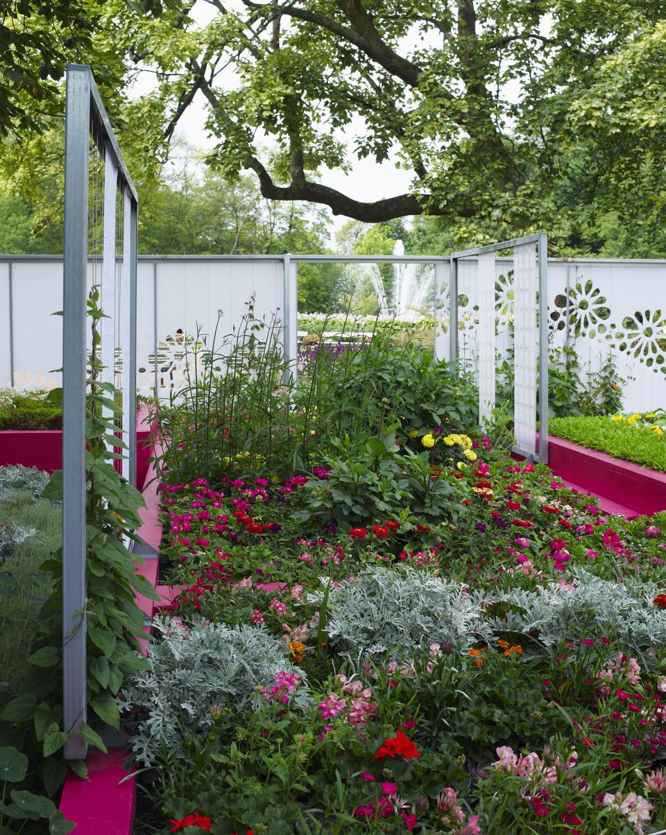 Google Search Tuin Indelingen