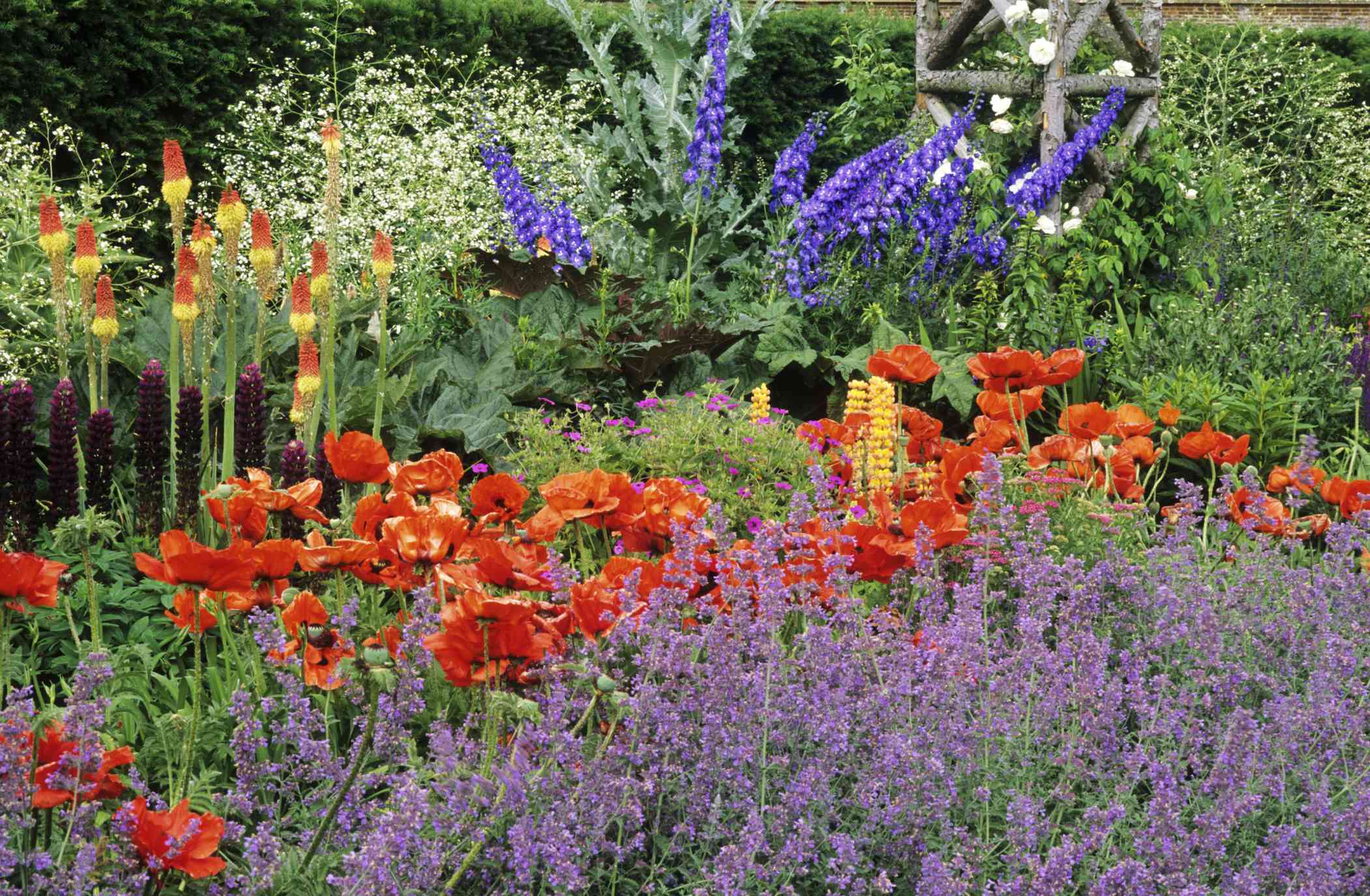 Summer Flower Garden Border Ideas