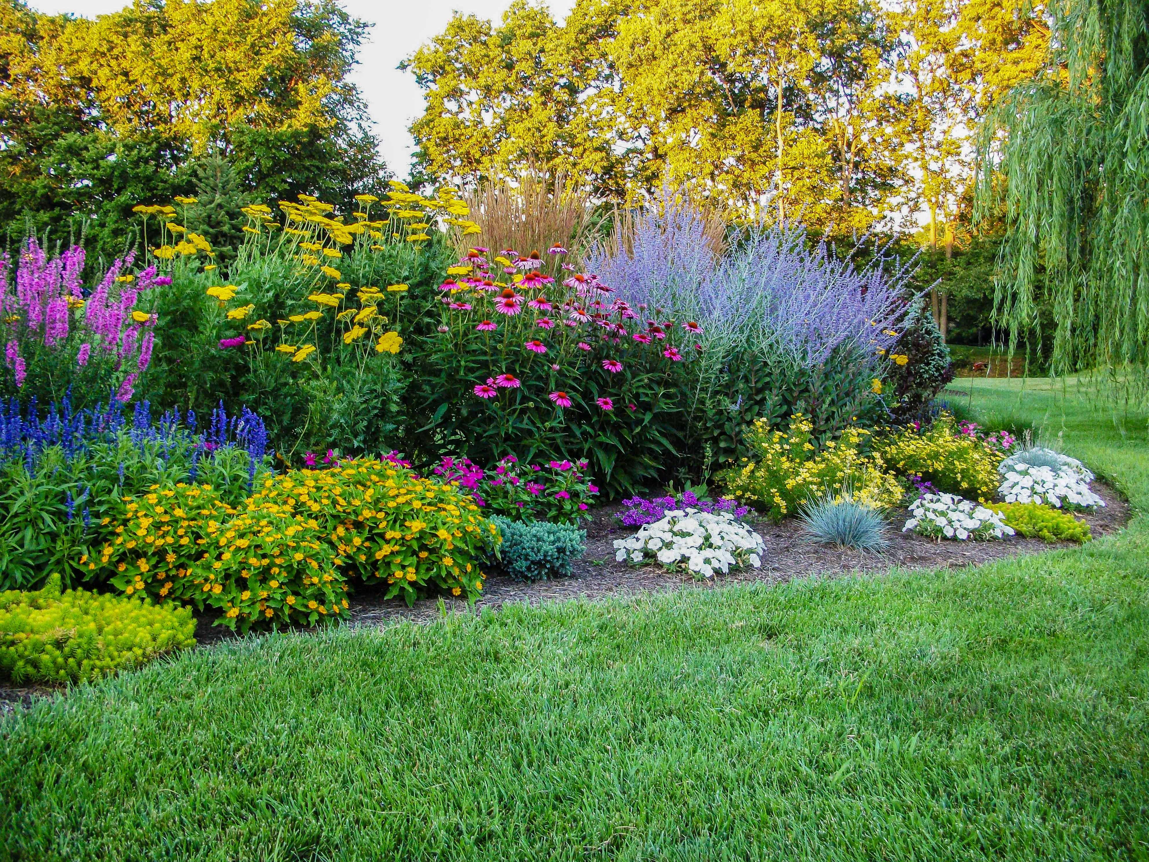 Summer Flower Garden Border Ideas