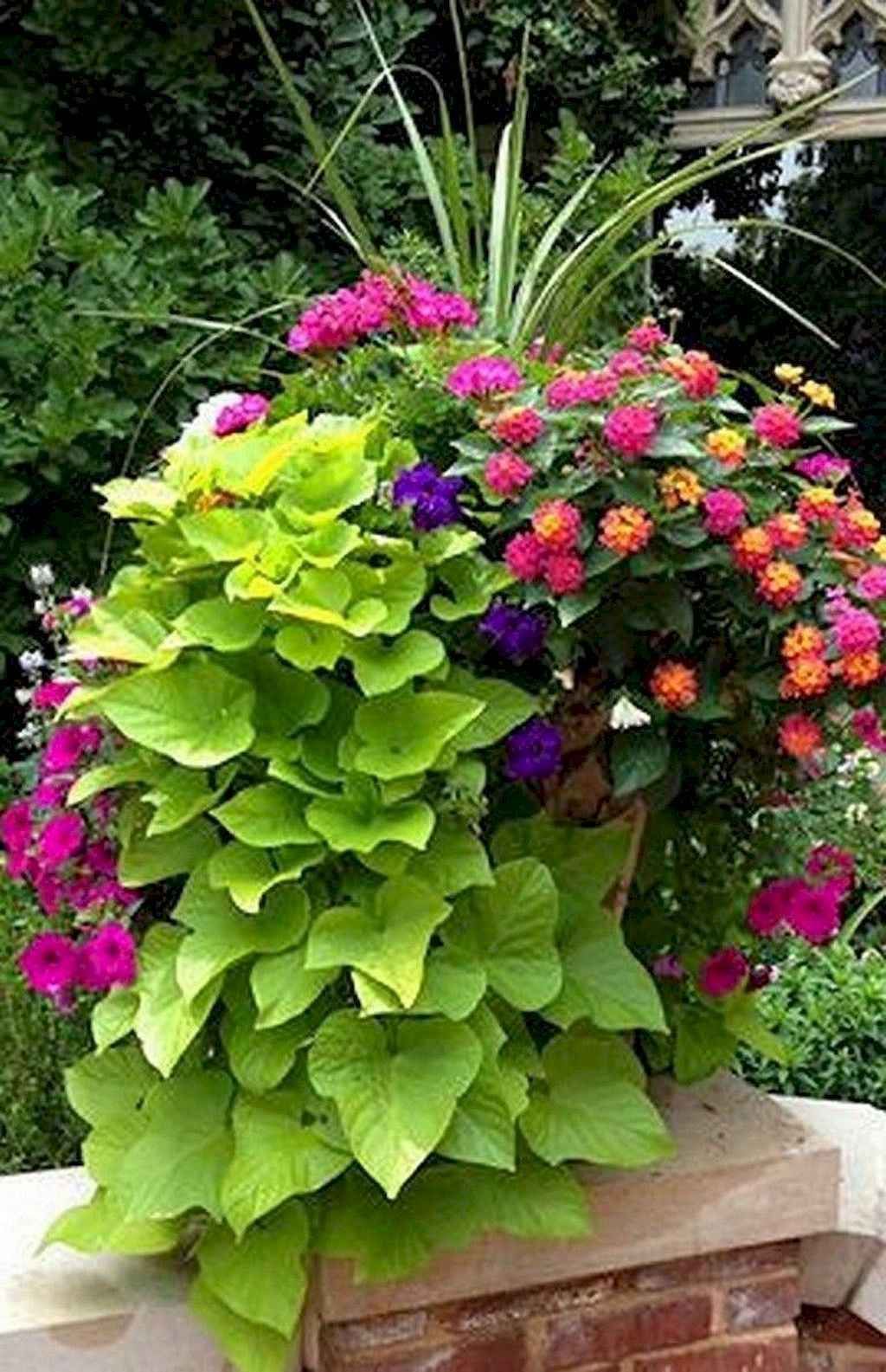 Beautiful Summer Container Garden Flowers Ideas Homekover
