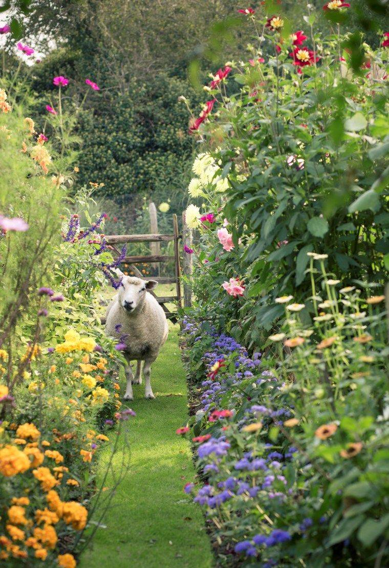 Beautiful Small Cottage Garden Ideas