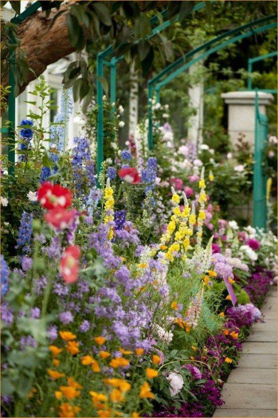 Pink Garden Border Gardenborders Garden Borders