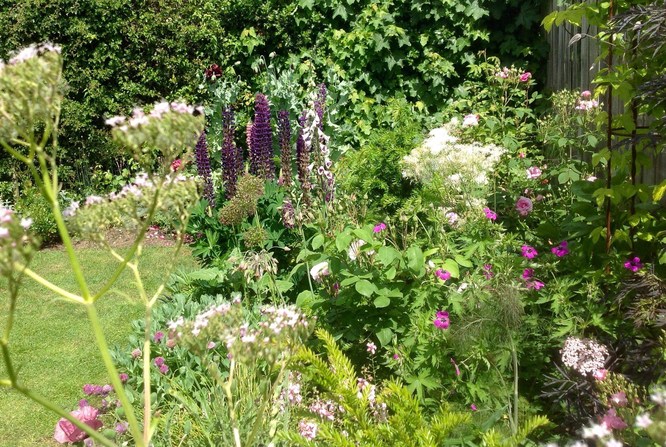 Summer Flower Garden Border Ideas