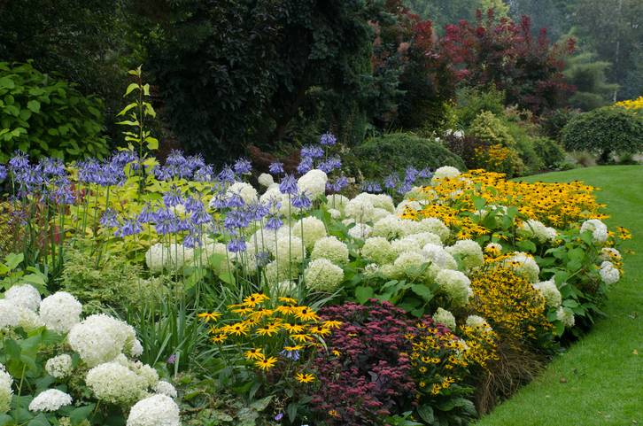 Cottage Garden Flower Border