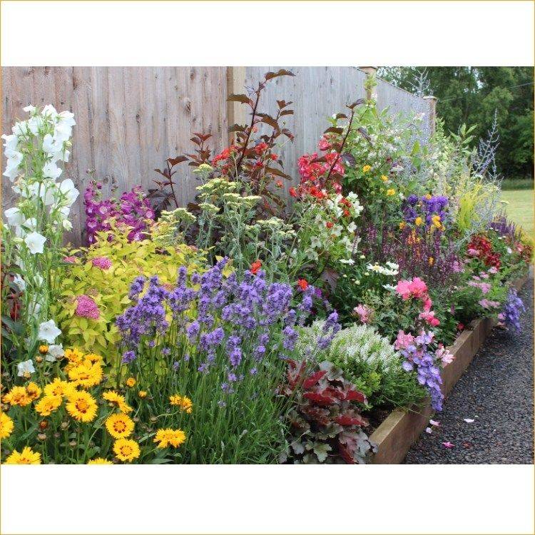 English Borders English Garden Design