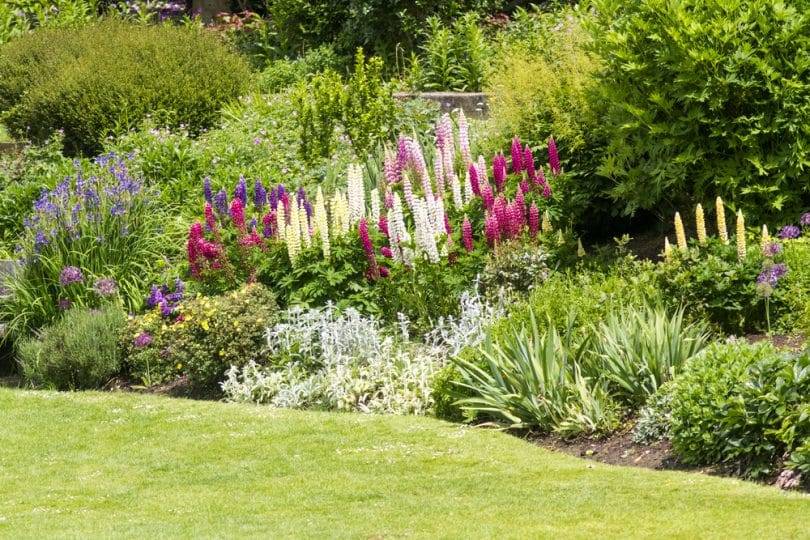 The English Mixed Border