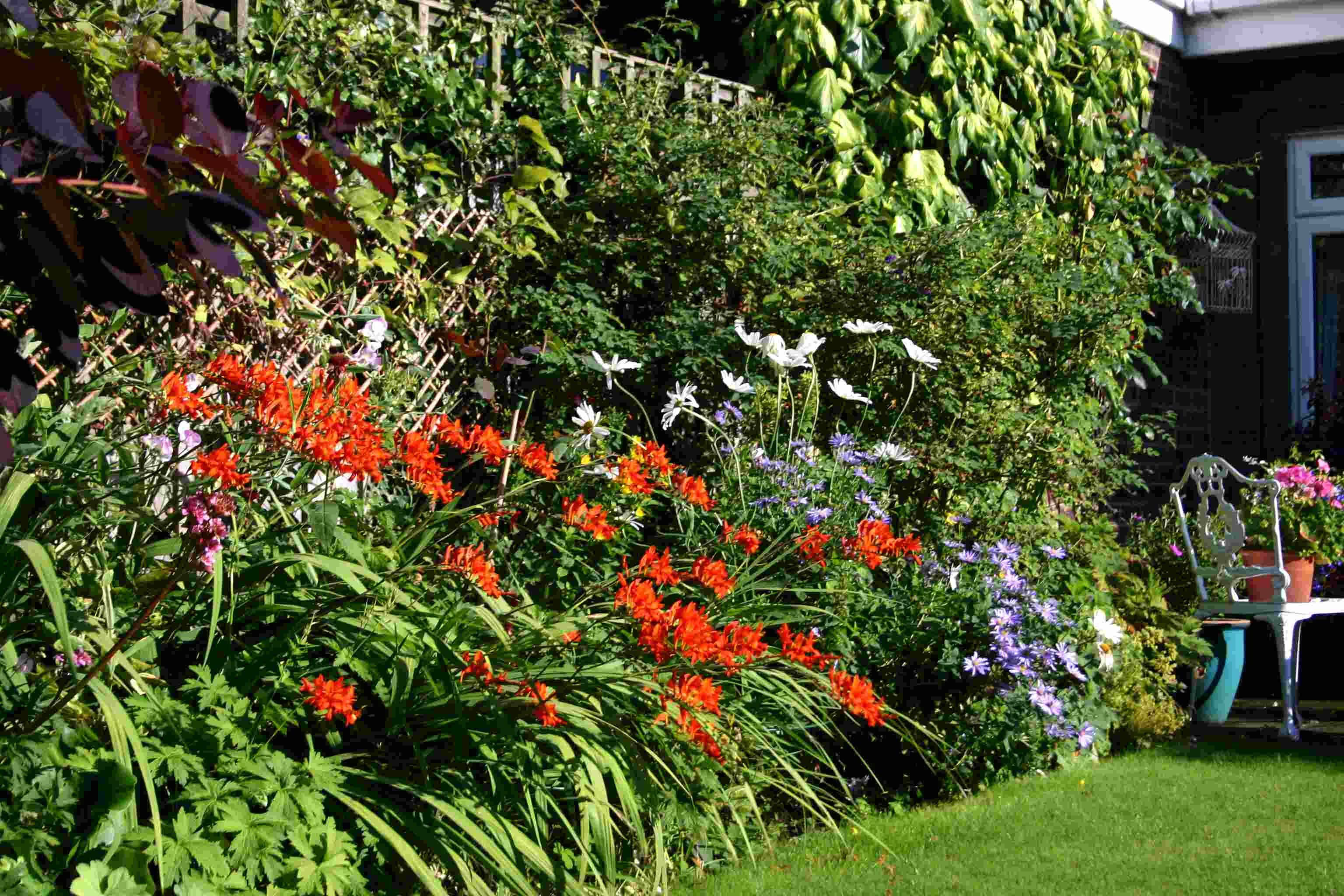 Potagergarden Small Cottage