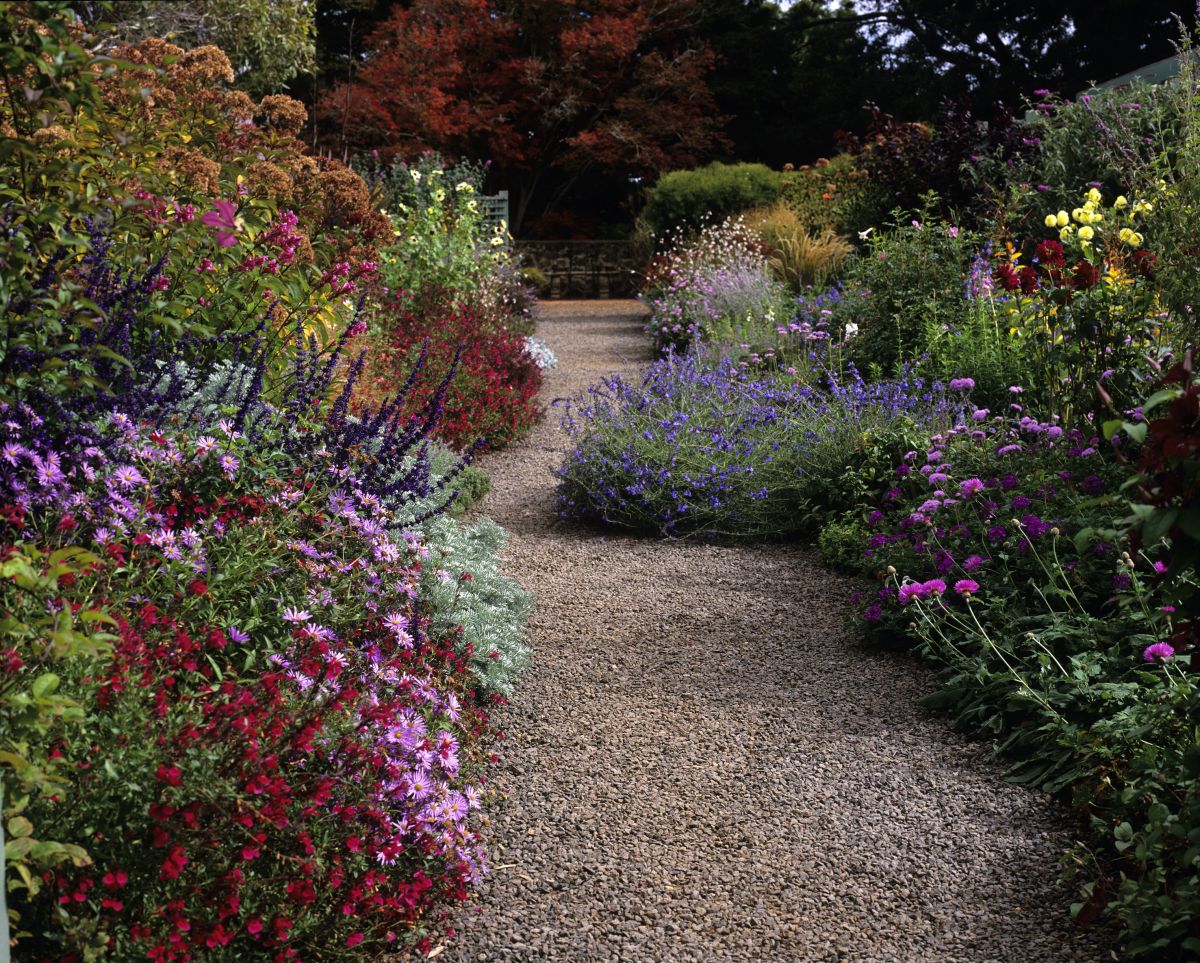 Summer Flower Garden Border Ideas