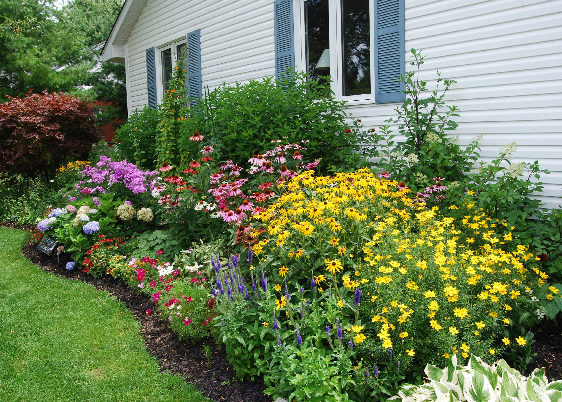 Clever Backyard Shrub Garden Ideas