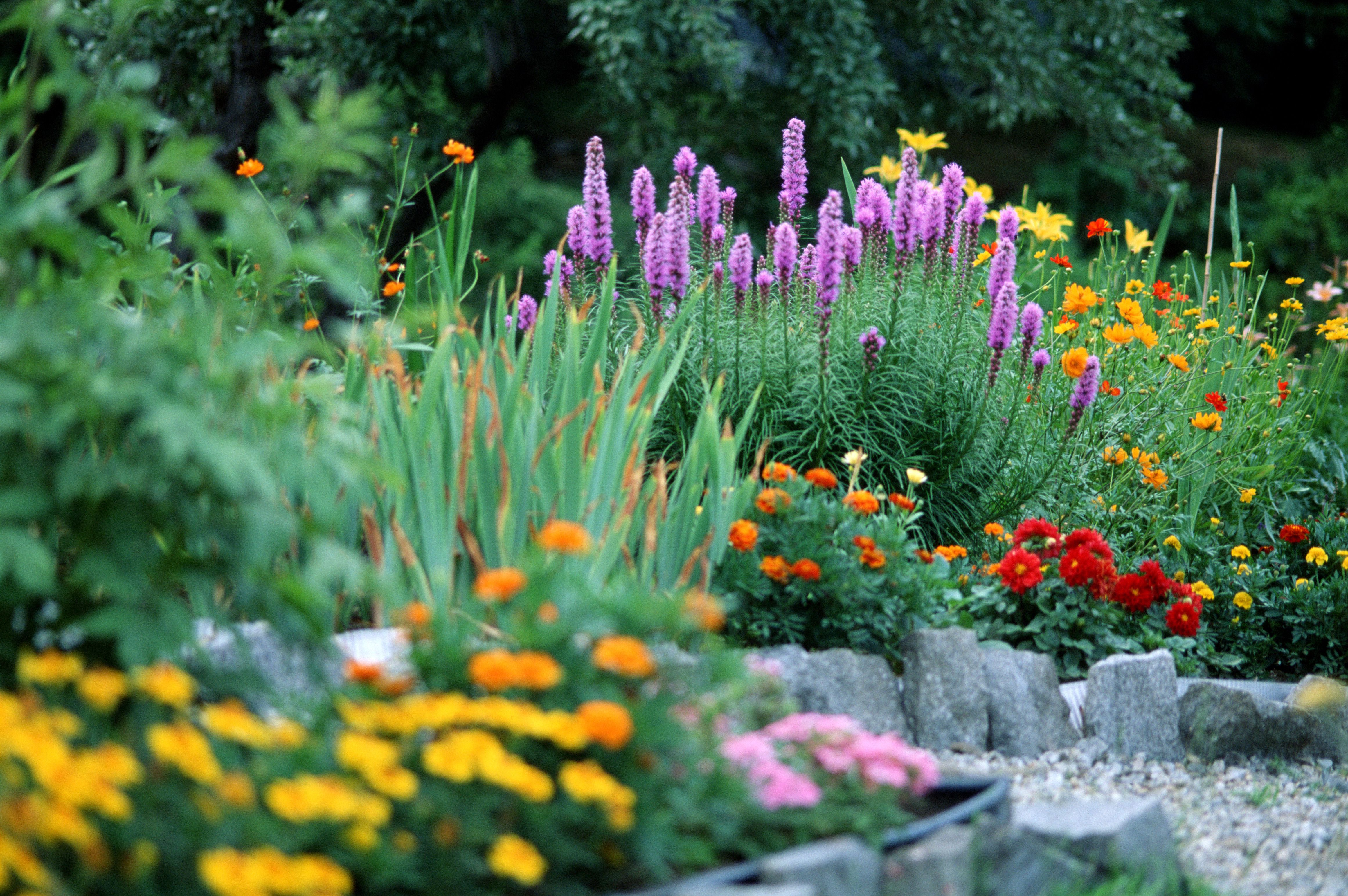 A Cottage Garden And Design Ideas