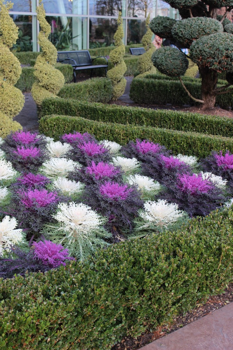 A Small Garden Space