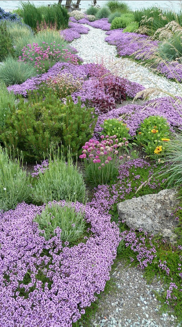 Front Yard Perennial Garden Hgtv