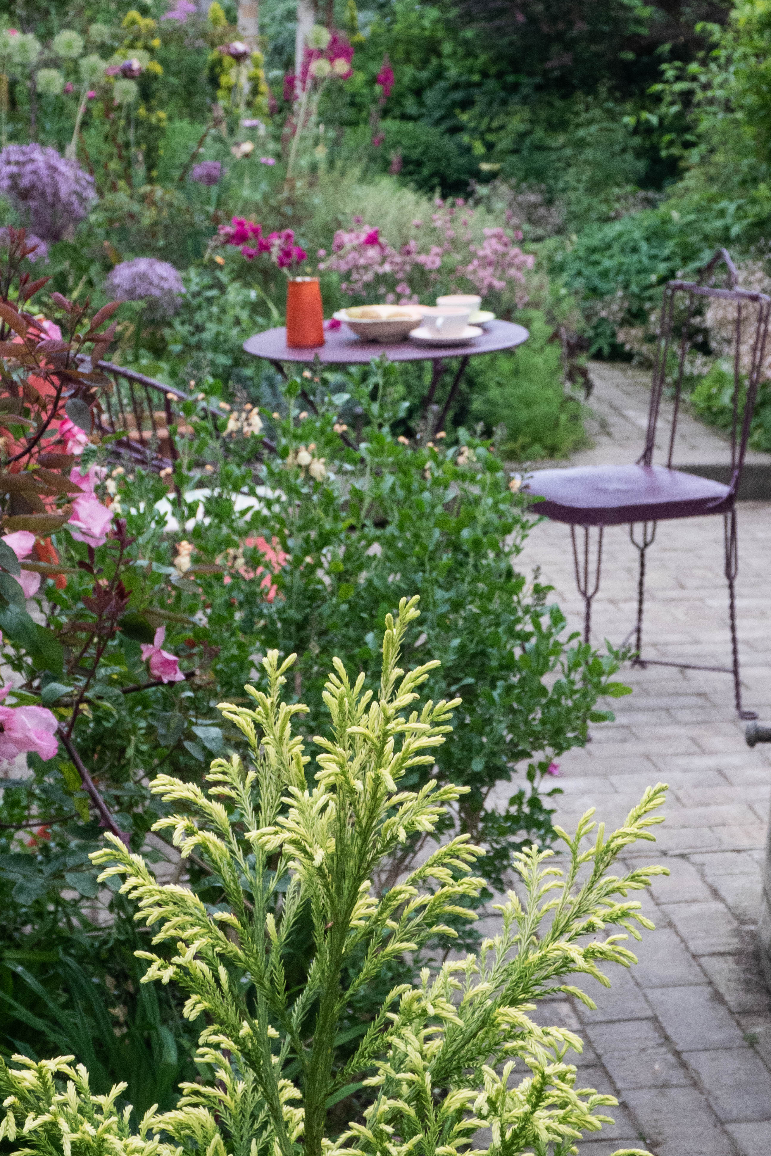 Shrubs Bringing Shape