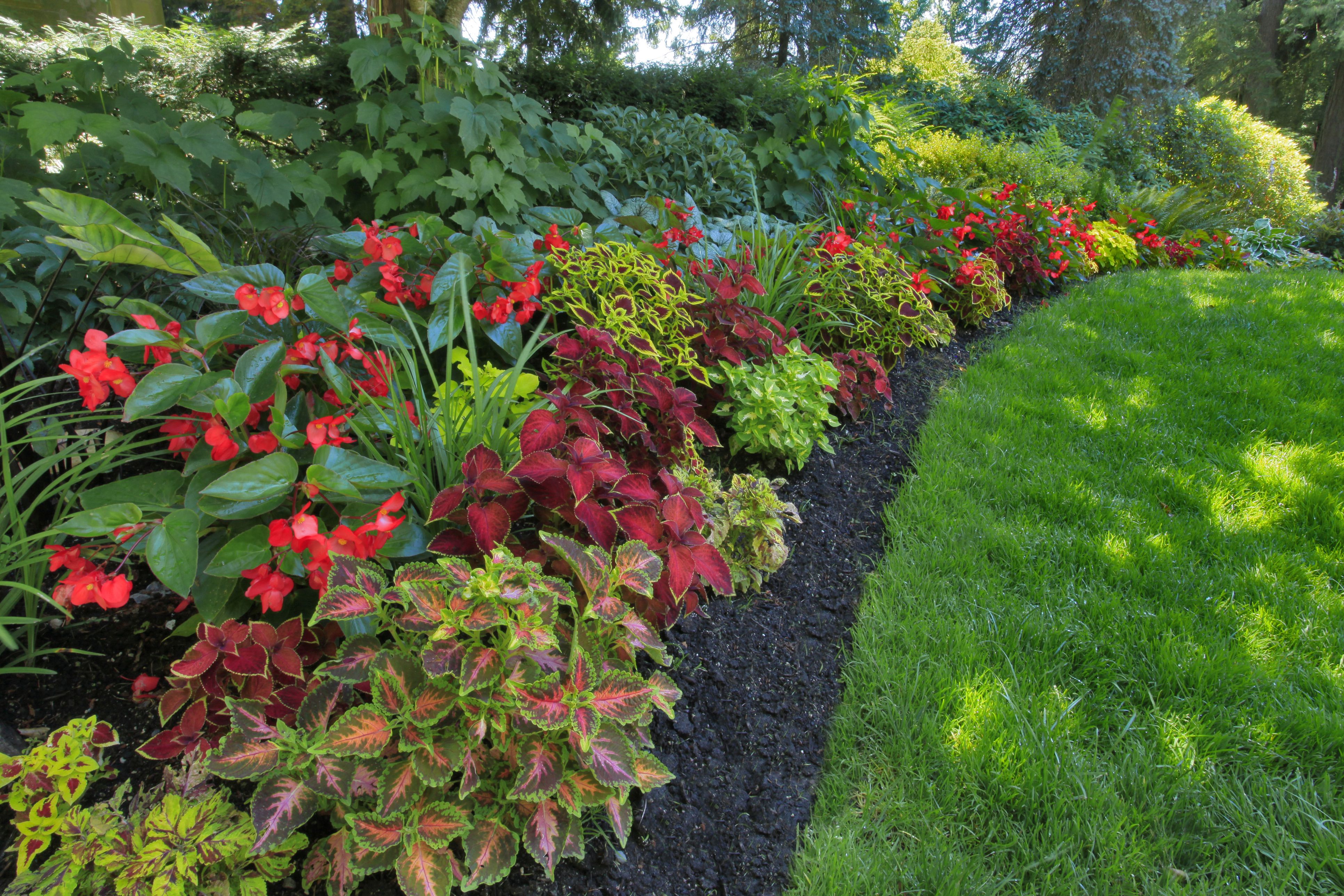 Stunning Black Mulch Landscaping Ideas You Must See