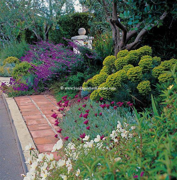 Best Flower Garden Pictures Images