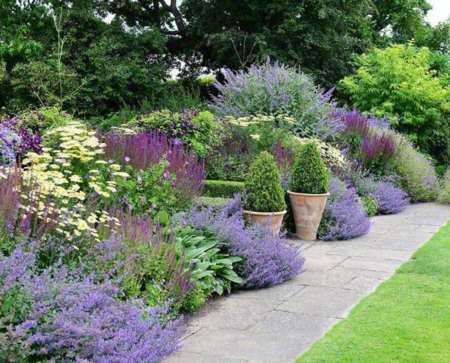 Summer Flower Garden Border Ideas