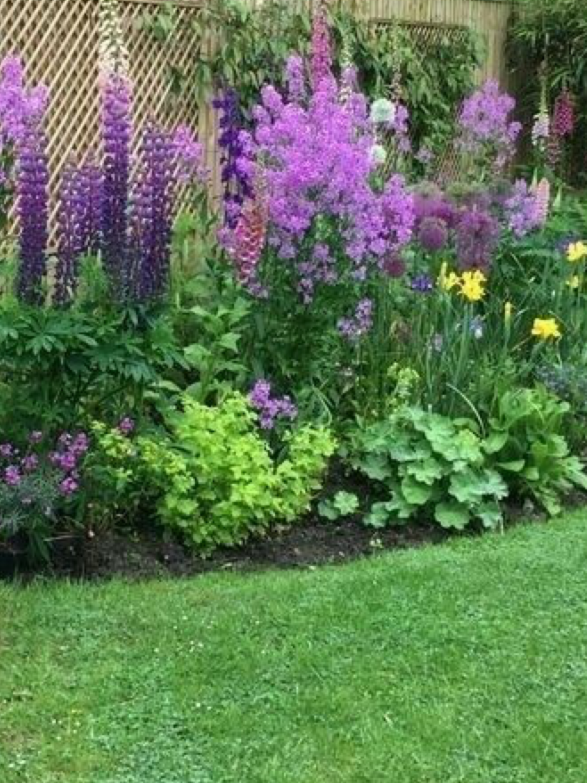 Summer Flower Garden Border Ideas