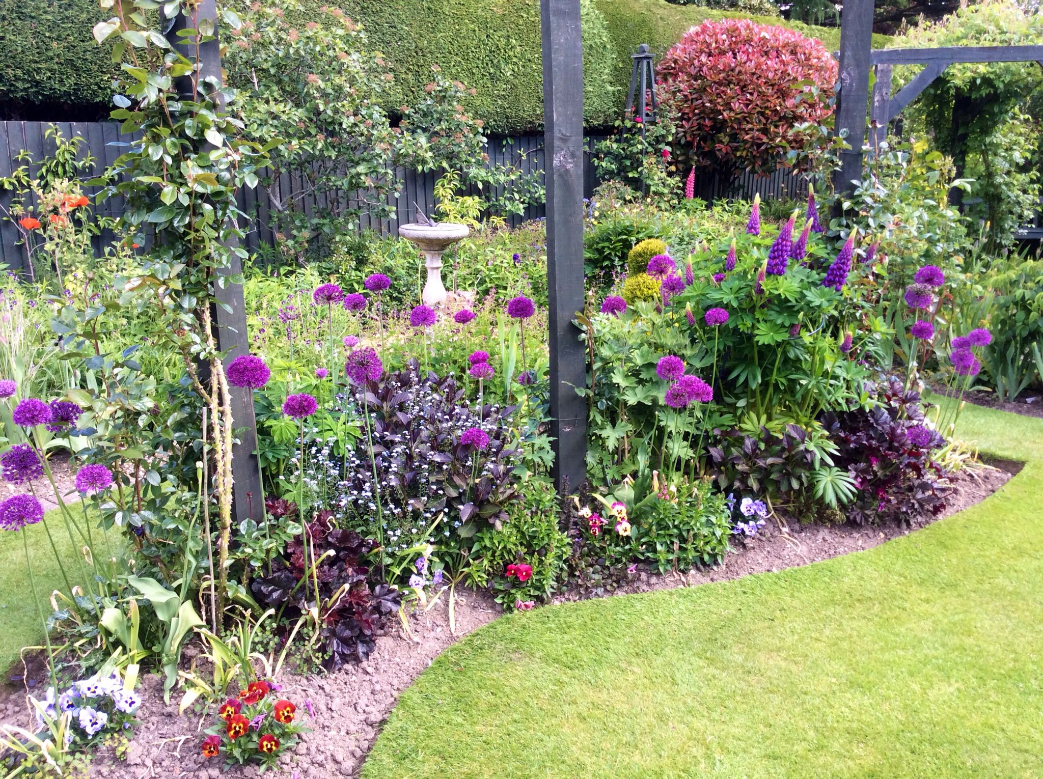 Stunning Border Flower Garden