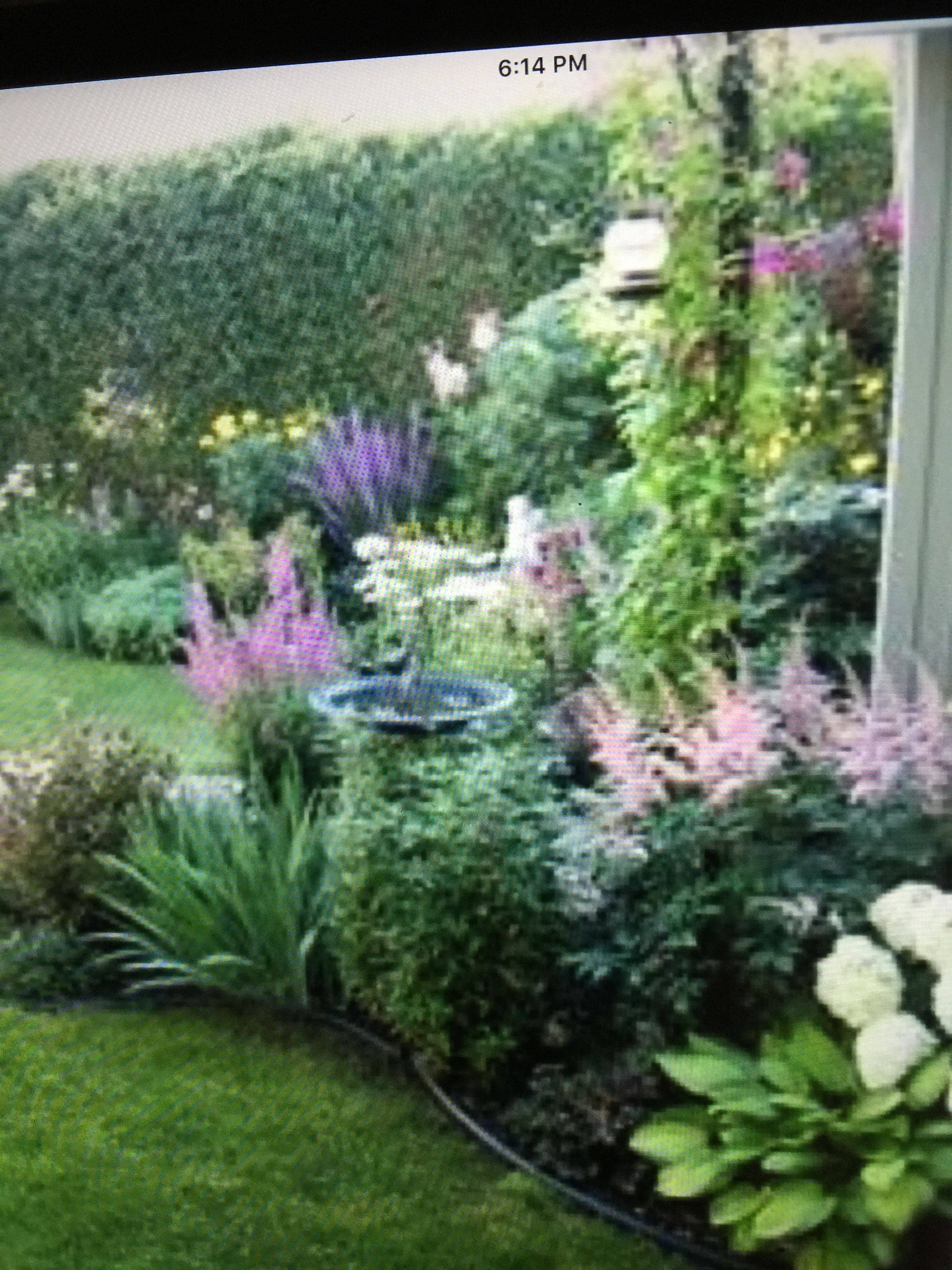 Best Backyard Landscaping Ideas