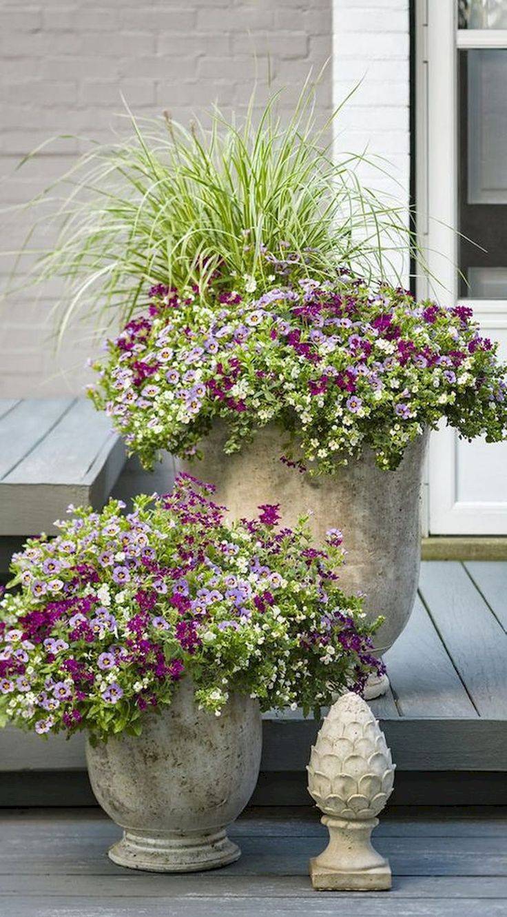 Stunning Container Garden Planting Design Ideas