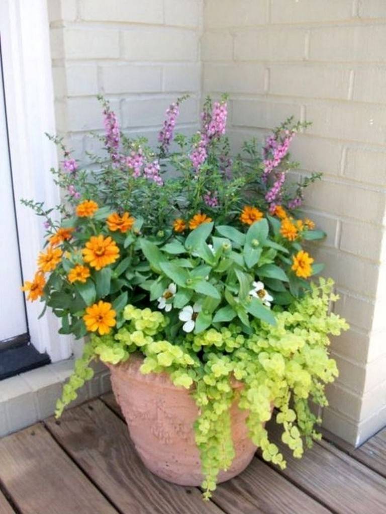 A Patio Flower Container Garden Tips