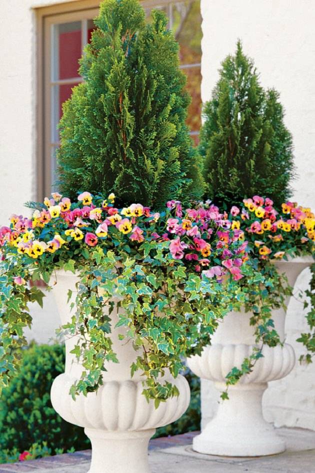 Best Patio Container Garden Design Ideas