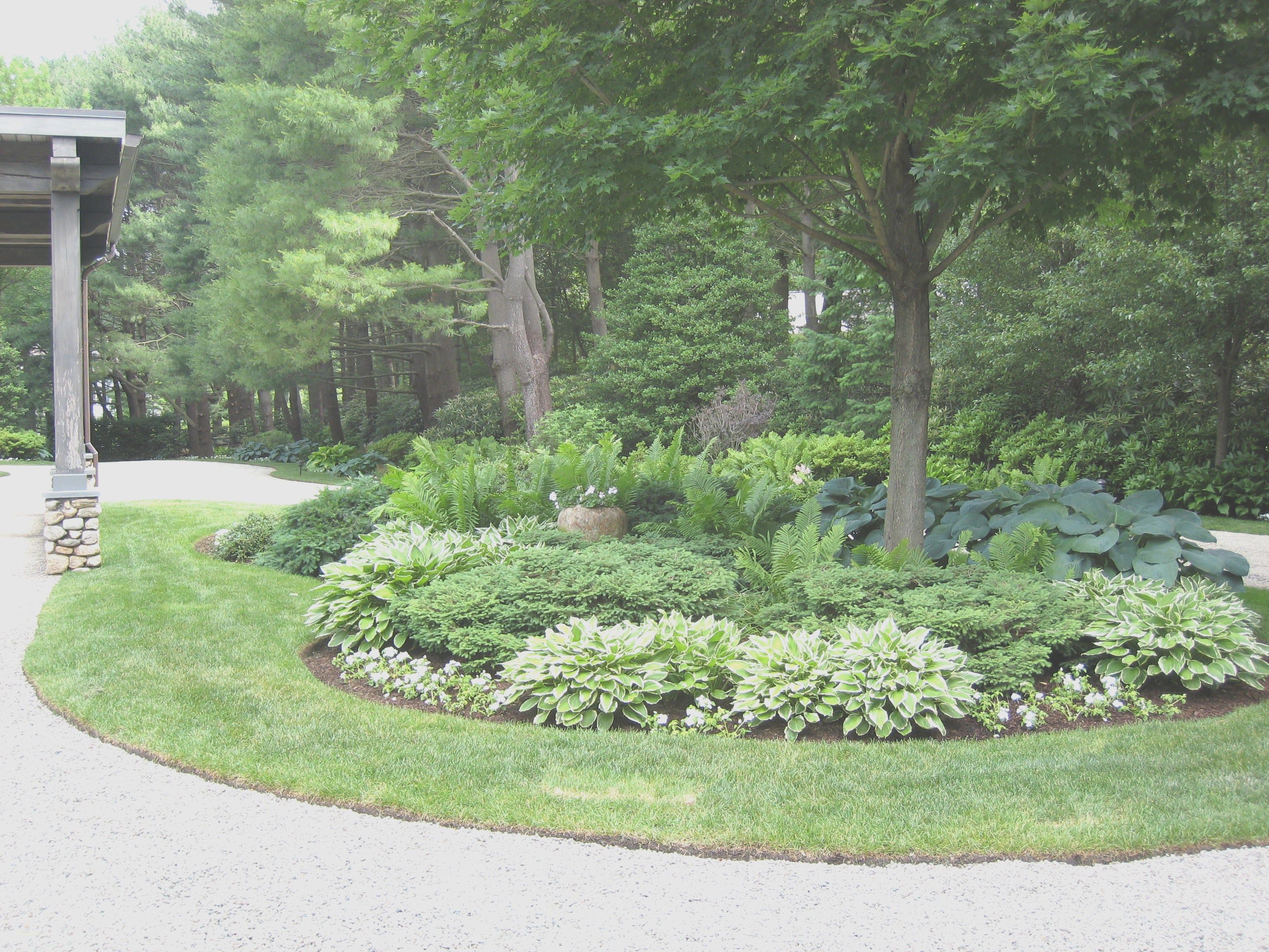 Garden Ideas
