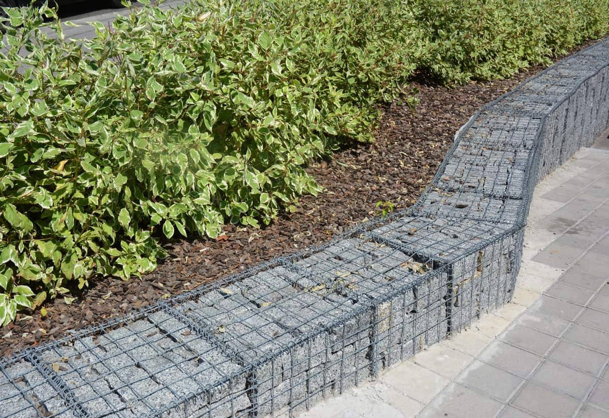 Curved Gabion Walls Paisagismo Jardim