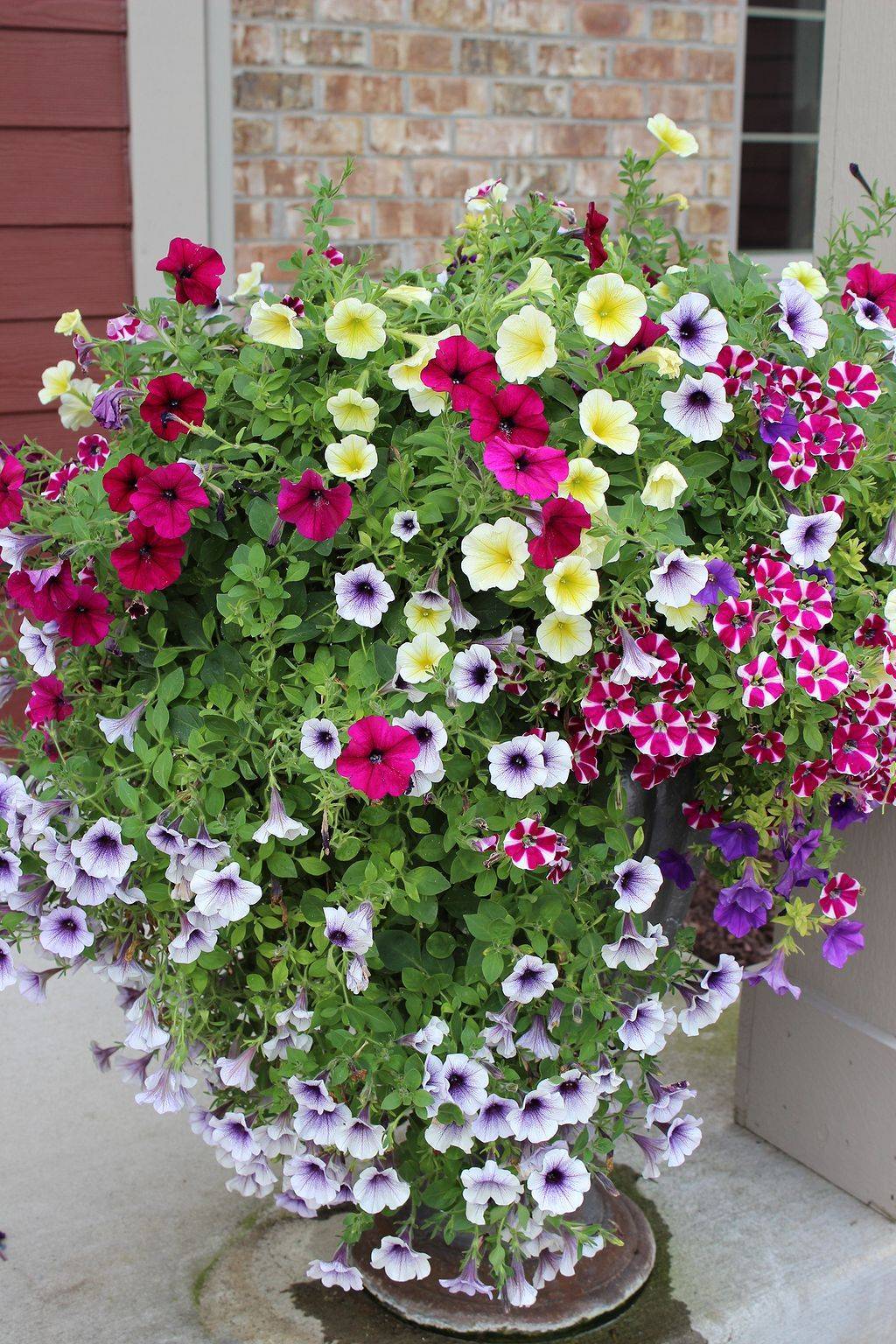 Best Creative Flower Garden Ideas