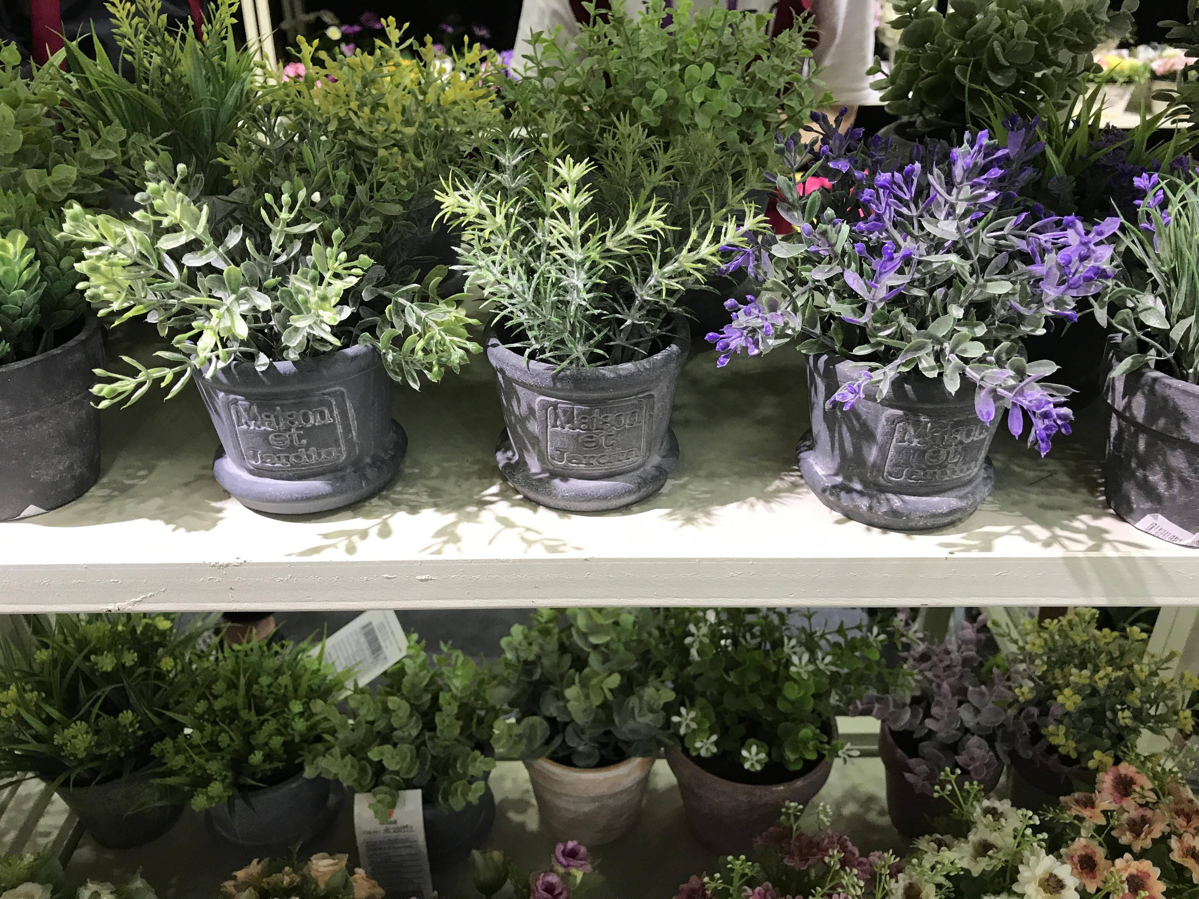 Beautiful Fall Mums Garden Landscaping Ideas