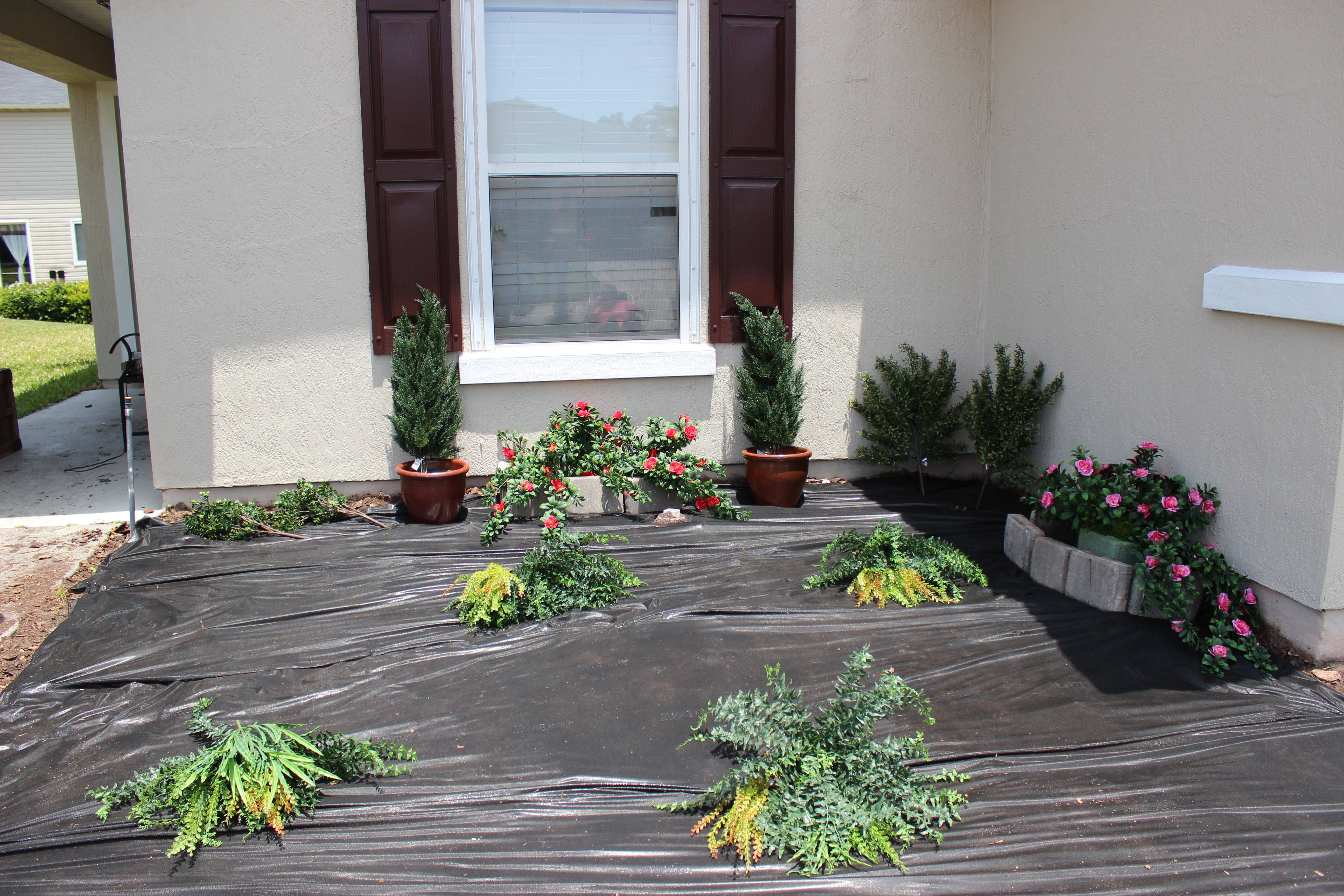 Flower Garden Ideas