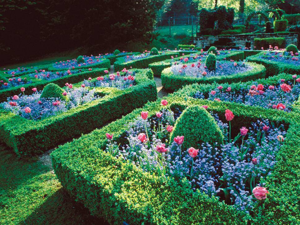 Vintage Annual Flower Formal Garden Plan