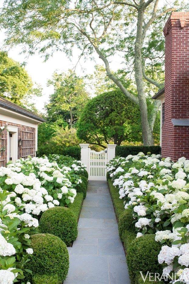 Green And White Formal Garden