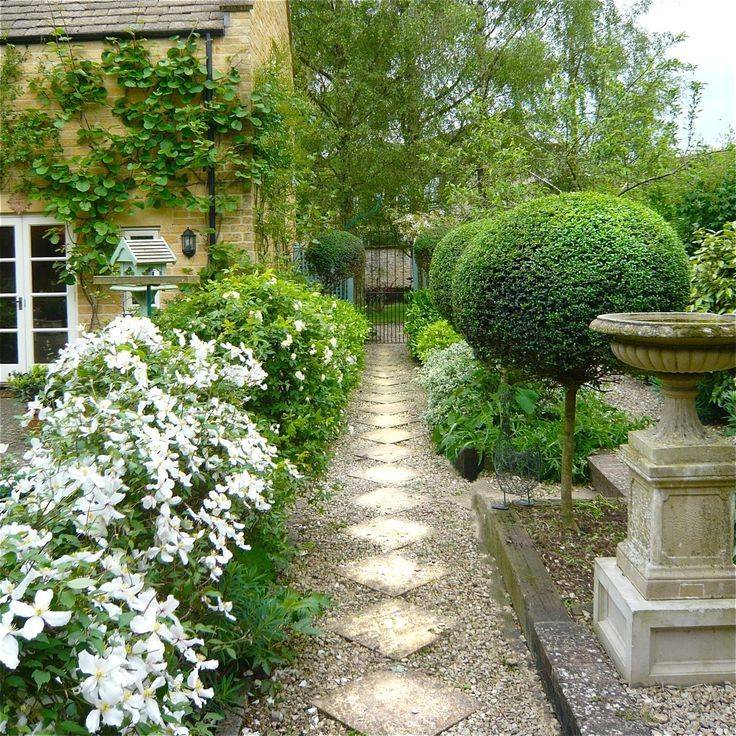 The Creeping Fig White Gardens