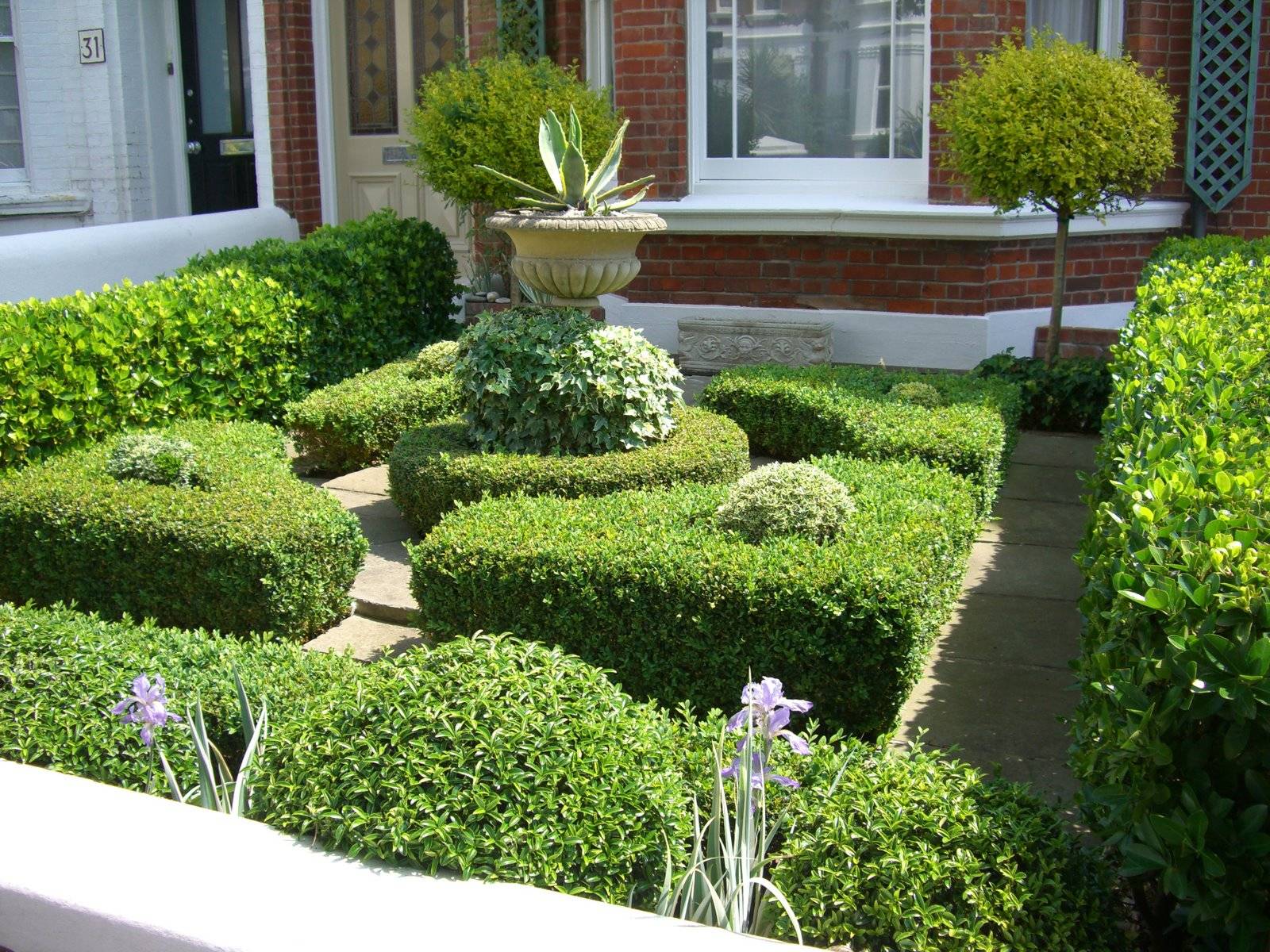 Formal English Garden Hedges
